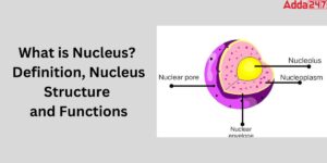 What is Nucleus Diagram- Nucleus Function for Class 9
